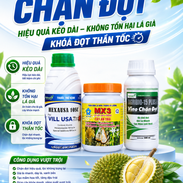 BỘ CHẶN ĐỌT