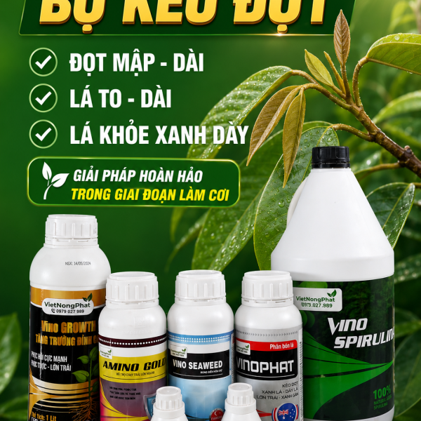 BỘ KÉO ĐỌT