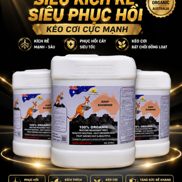 KING PRO - SIÊU PHỤC HỒI
