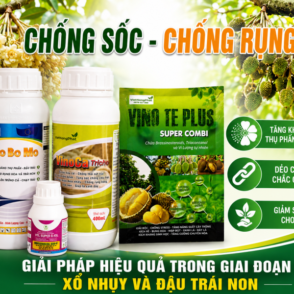 CHỐNG SỐC CHỐNG RỤNG