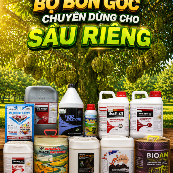 DINH DƯỠNG GỐC