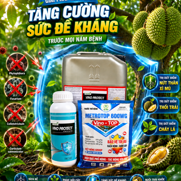 ĐẶC TRỊ NỨT THÂN XÌ MỦ