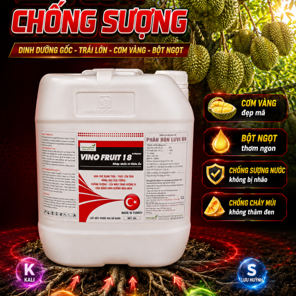 CAN HỮU CƠ LÊN CƠM CHỐNG SƯỢNG