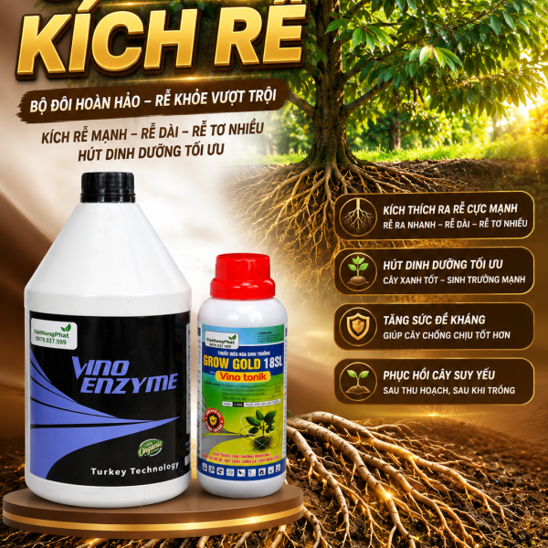 SIÊU KÍCH RỄ