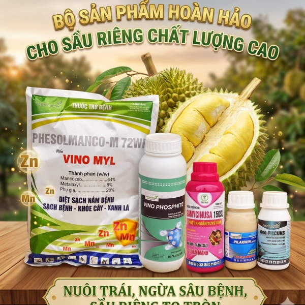 DINH DƯỠNG TRÁI