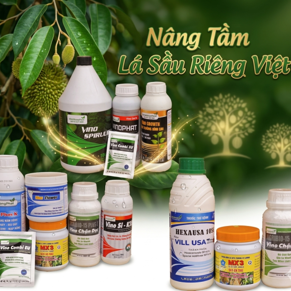 DINH DƯỠNG LÁ